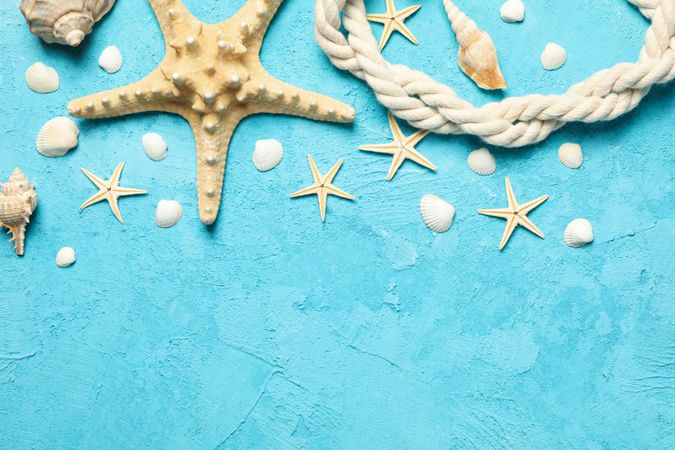 Starfish, rope and seashells on blue background, space for text