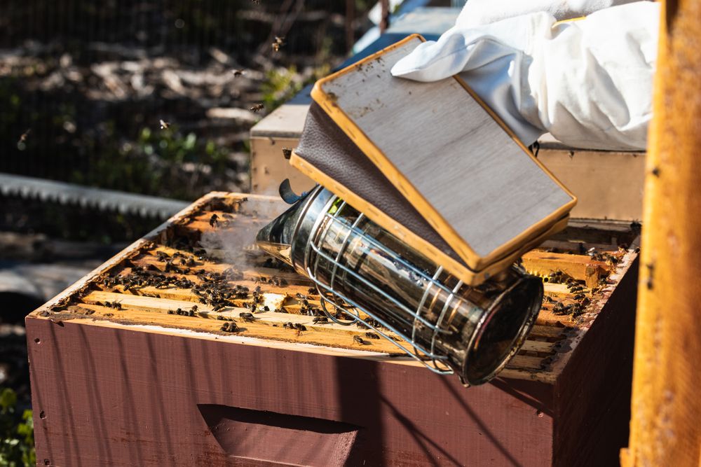 Bee smoker and hive in apiary