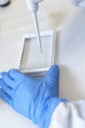 Specialist in laboratory studying analyzes from monitor of device