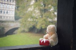 Teddy bear and gift on a wooden beam