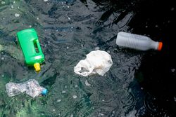 Plastic bottles and bag floating on water