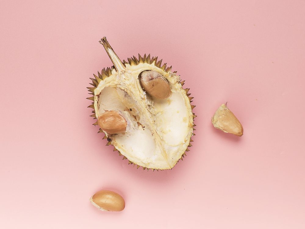 Durian Skin and Durian Seed on Pink Background