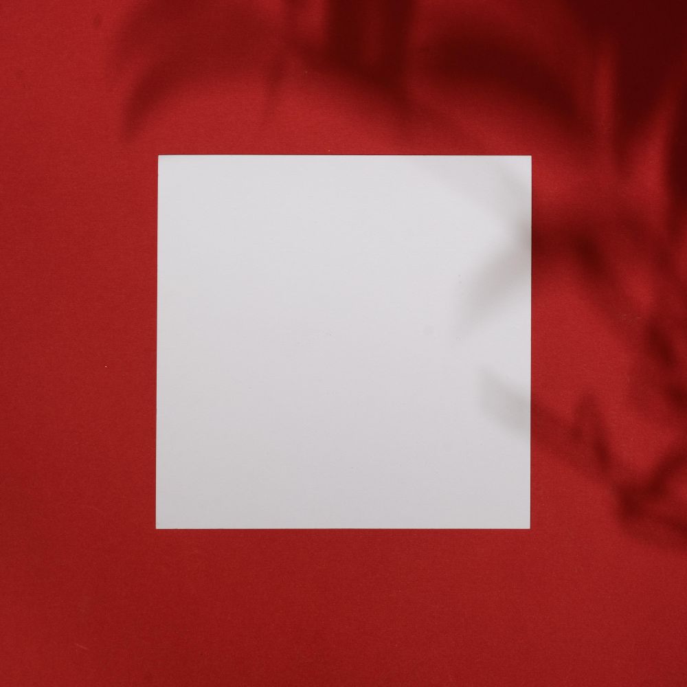 Top view of tropical leaf shadow on red background with paper card