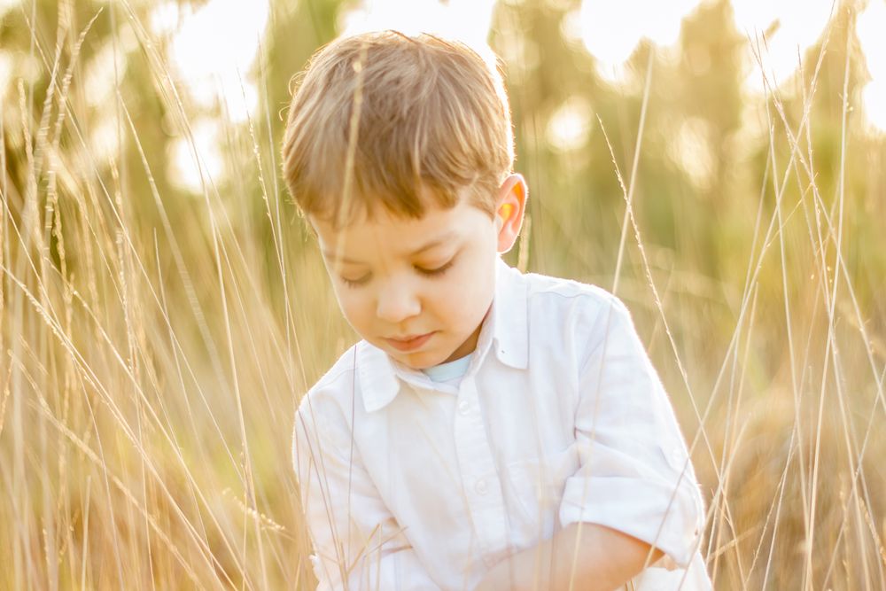 Kid in field playing with spikes at summer sunset