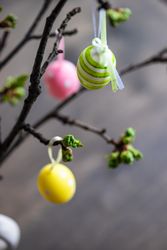 Close up of decorative eggs on branch