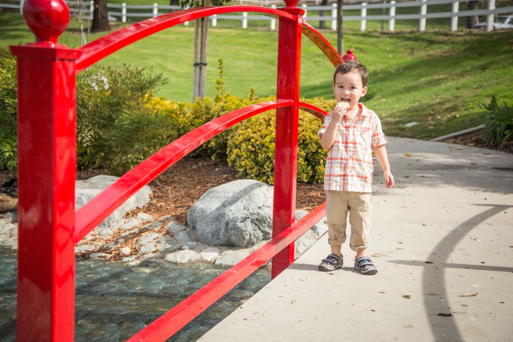 Biracial Boy Having Fun at the Park and Duck Pond.