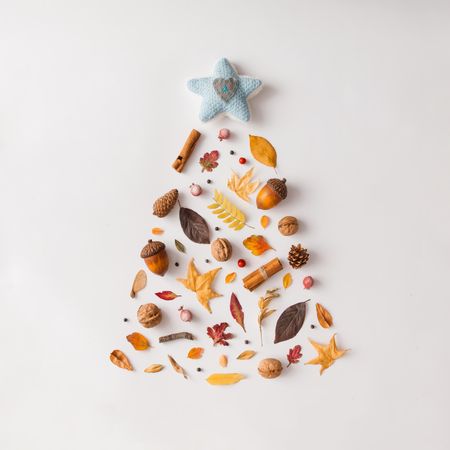 Christmas tree made of various autumn leaves and fruits
