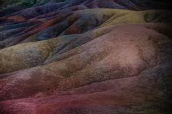 Branches strewn on land of seven color in Mauritius
