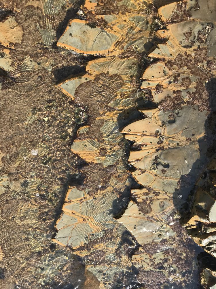 Layered gray and brown ocean rocks