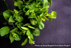 Top view of organic mint leaves with copy space 4Zen81