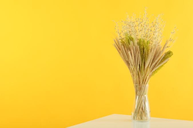 Glass vase filled with dried bunny tail flowers in yellow room with copy space