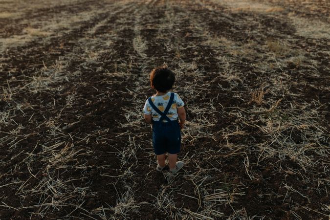 Back view of little boy in a field