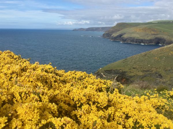 Area of Outstanding Natural Beauty, Boscastle, Cornwall, England