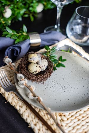 Easter table setting with pussy willow and small bird's nest on plate