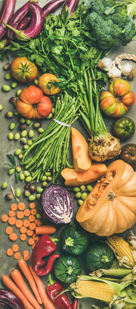 Fresh produce on concrete background, with halved squash, corn, cabbage, vertical composition