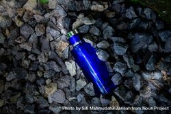 Blue perfume bottle mock up laying in rocks 49mBga