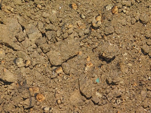 outdoor ground texture