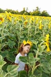 Cute child in blooming sunflower field