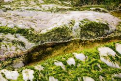 Stony hill covered with moss