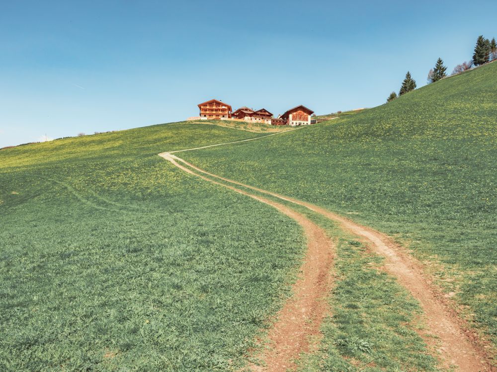 Countryside road running between green field near forest to small village