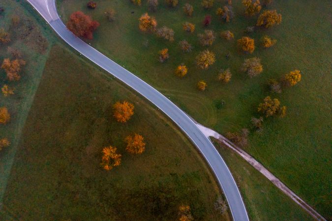 Road crossing an autumn orchard on a cold morning in October, drone aerial view