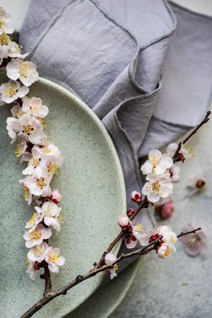 Close up of table setting of apricot blossom branches on ceramic plates