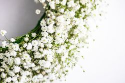 Headdress of gypsophila paniculata flowers on table