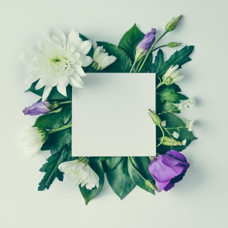 Layout made of green leaves and purple flowers with light  paper card