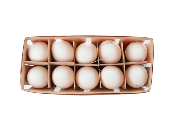 chicken eggs in carton box isolated on plain background, top view