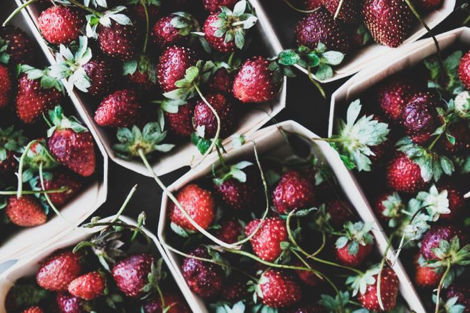 Strawberries in eco-friendly plastic-free boxes, diagonal close up