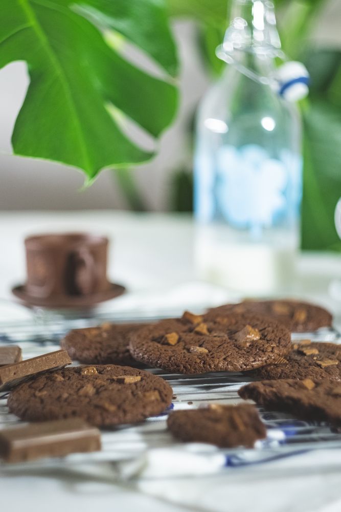 Chocolate cookies on cooling rack with milk jar in background