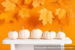 Light pumpkins in a row on orange background with fall leaves 5kDjo4