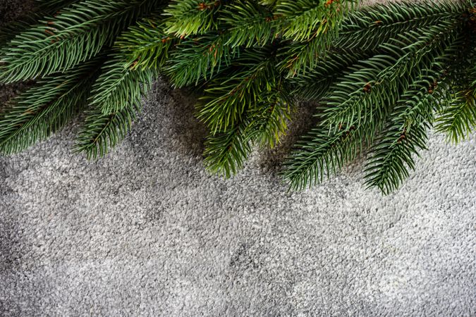 Christmas frame on stone background with pine branch