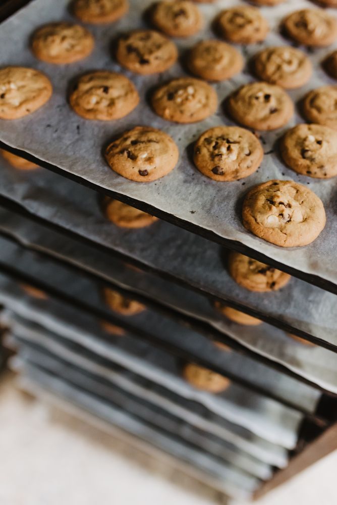 Rack with freshly baked cookies