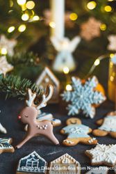 Close-up of cute gingerbread reindeer cookie 5kNoA0