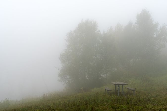 Foggy day at picnic bench