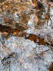 Water ripples in fall