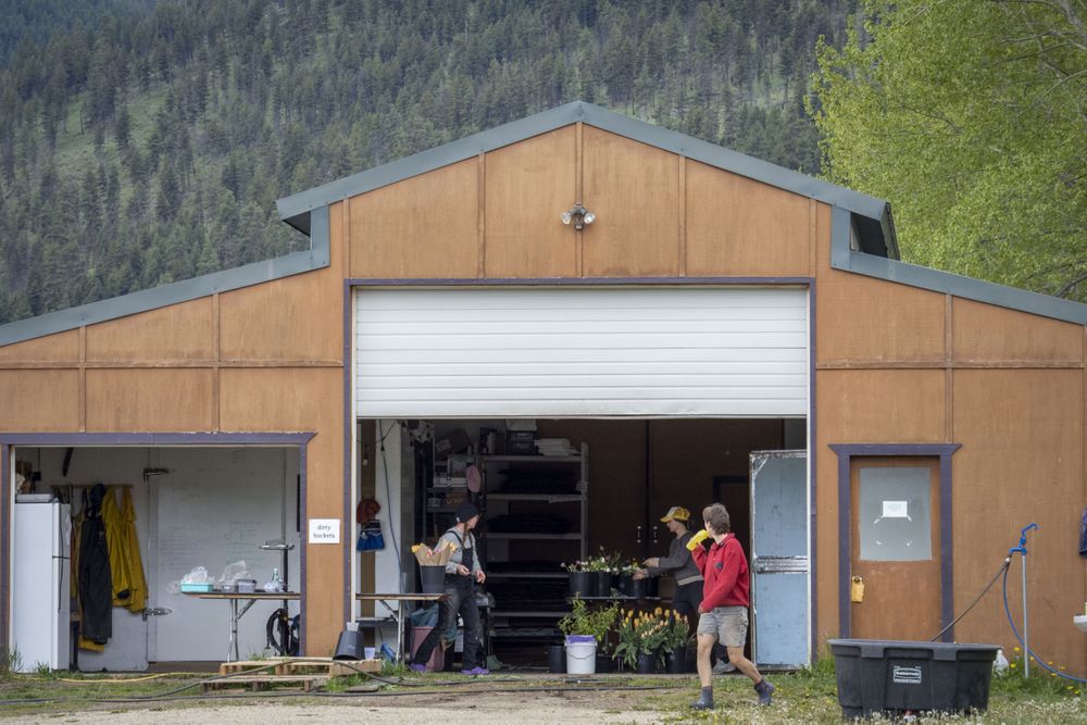 Three people working in a garden shop in the Rocky Mountains