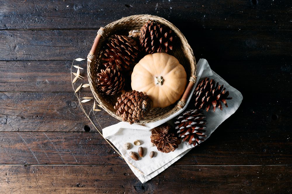 Set of pine cones and holm oak leaves in an esparto basket next to a yellow pumpkin on a wooden table