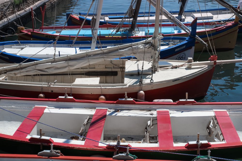 Boats in a row along a dock