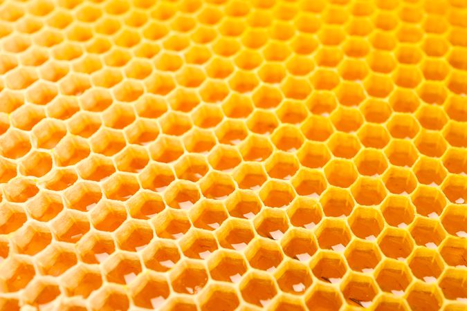 Honeycombs with sweet golden honey on whole background, close up