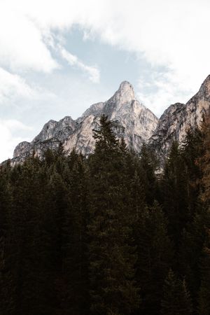 Big mountains near pine forest on cloudy weather