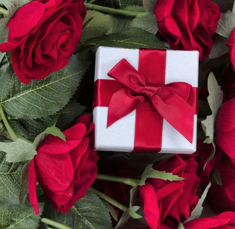 Wrapped gift box for happy valentines day with roses