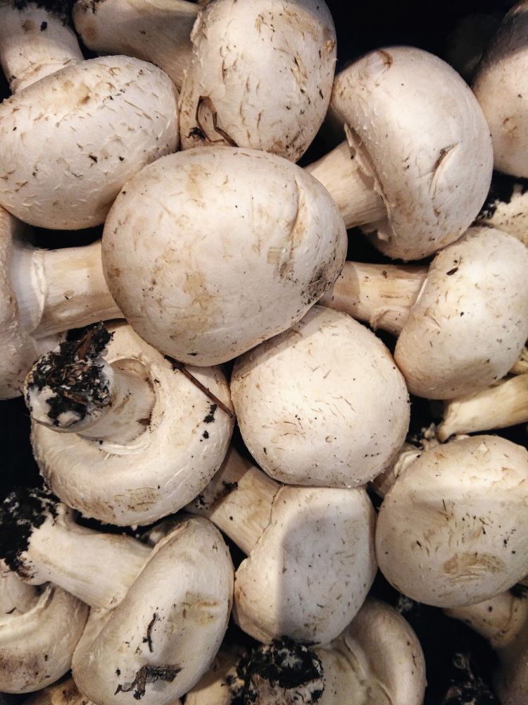 mushrooms