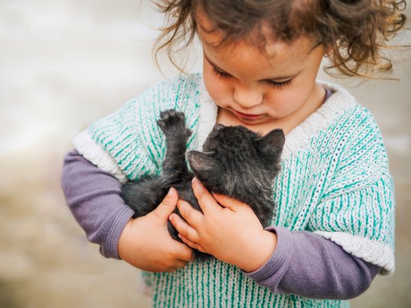 cute little girl holding a pussycat