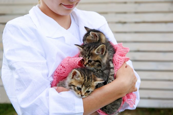 A veterinarian holds kittens in his arms.