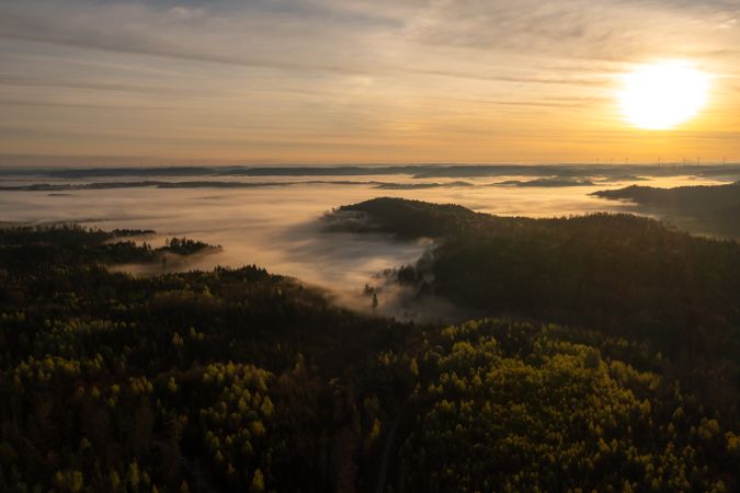 Aerial view of foggy woodland at golden hour in the morning