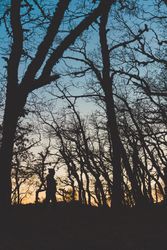Man walking in autumn forest at sunset