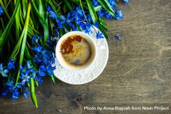 Spring concept with top view of coffee and blue flowers 0yXxVG