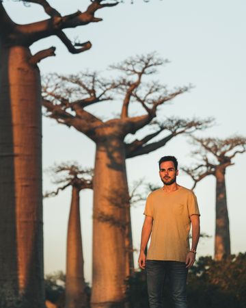 Man standing near baobab on sunset